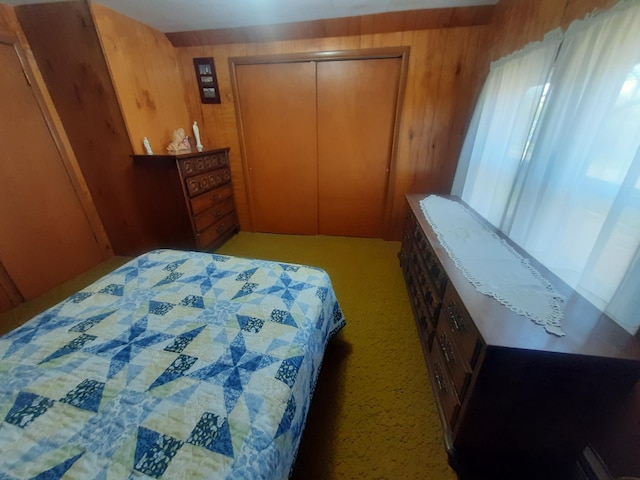 101 8th Ave N, Saint James, MN 56081 - bedroom with a closet, wood walls, and light carpet
