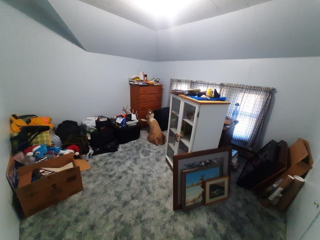 101 8th Ave N, Saint James, MN 56081 - bedroom featuring carpet and vaulted ceiling