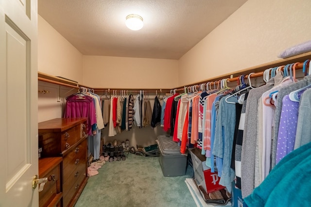 402 2nd Ave SE, Mapleton, MN 56065 - walk in closet with carpet flooring