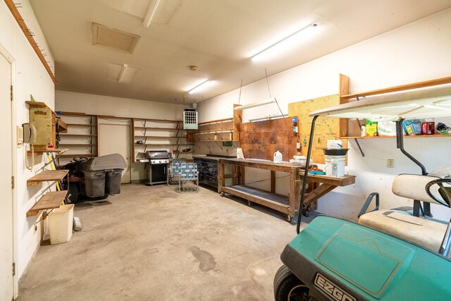 402 2nd Ave SE, Mapleton, MN 56065 - garage with a workshop area