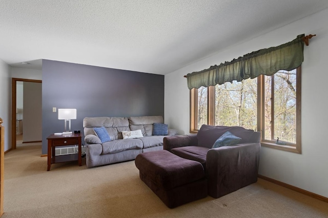 20441 Elmwood Rd, Lynden Twp, MN 55320 - living room with carpet, a textured ceiling, and baseboards