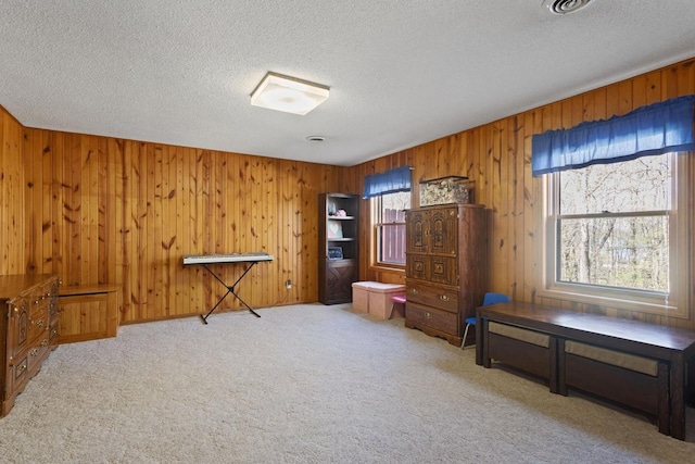 20441 Elmwood Rd, Lynden Twp, MN 55320 - misc room featuring carpet floors, a textured ceiling, and wood walls
