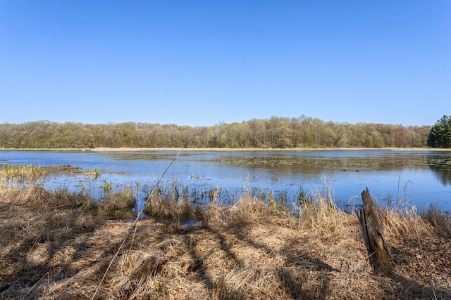 20441 Elmwood Rd, Lynden Twp, MN 55320 - water view featuring a heavily wooded area