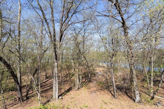 20441 Elmwood Rd, Lynden Twp, MN 55320 - view of undeveloped land