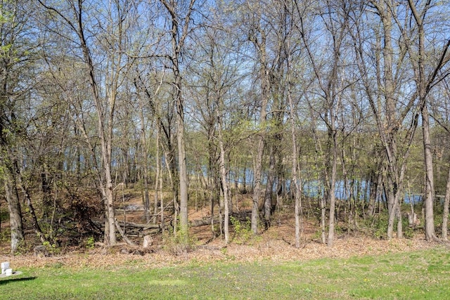 20441 Elmwood Rd, Lynden Twp, MN 55320 - view of yard