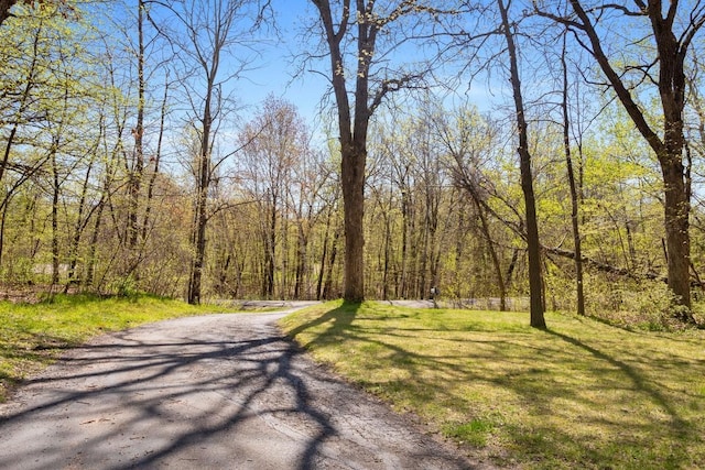 20441 Elmwood Rd, Lynden Twp, MN 55320 - view of road featuring a view of trees