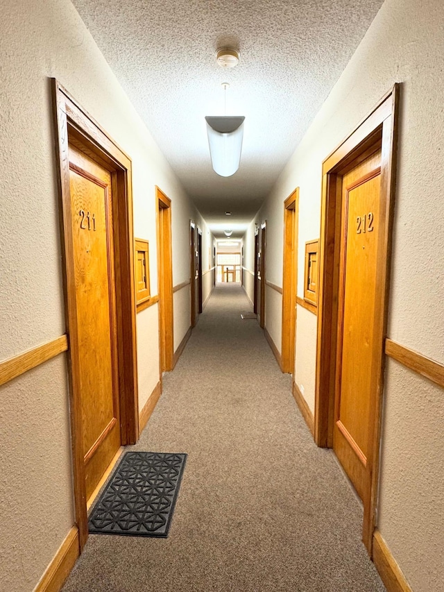 3116 12th Ave S Unit A209, Minneapolis, MN 55407 - hall with light carpet, a textured ceiling, a textured wall, and baseboards