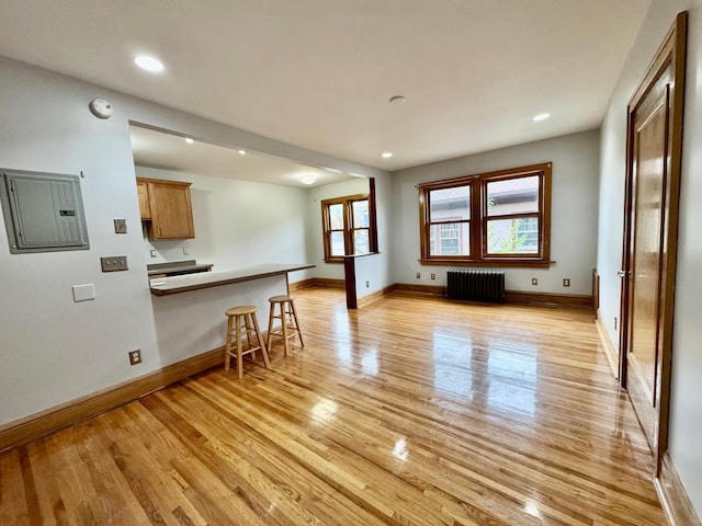 3116 12th Ave S Unit A209, Minneapolis, MN 55407 - living room with radiator heating unit, electric panel, light wood finished floors, baseboards, and recessed lighting