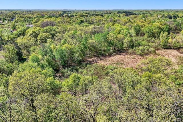 18041 224th Ave NW, Big Lake Twp, MN 55309 - bird's eye view of a heavily wooded area