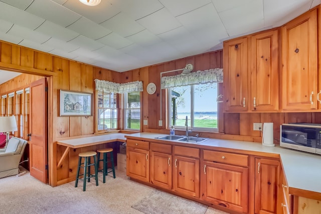 23620 Melissa Dr, Lake View Twp, MN 56501 - kitchen featuring a sink, stainless steel microwave, wood walls, light countertops, and brown cabinets
