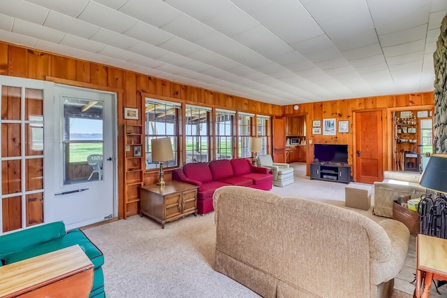 23620 Melissa Dr, Lake View Twp, MN 56501 - living area with wood walls and light carpet