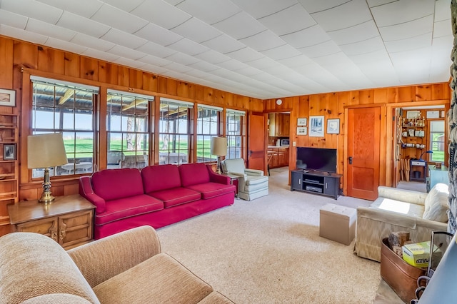 23620 Melissa Dr, Lake View Twp, MN 56501 - carpeted living area featuring healthy amount of natural light and wooden walls