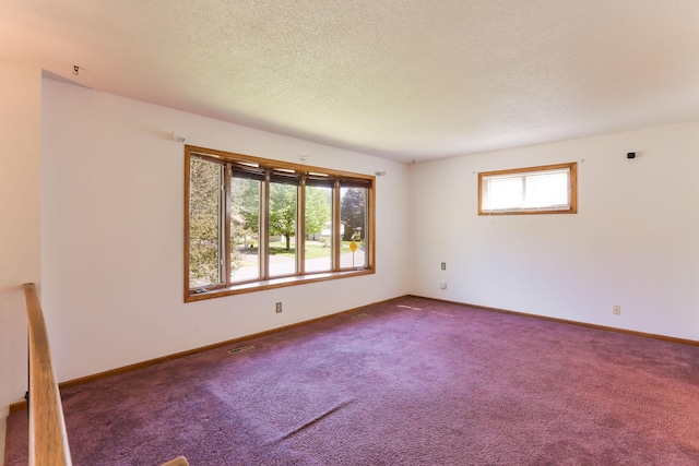 5391 Cottage Ave, White Bear Twp, MN 55110 - spare room with carpet flooring and a textured ceiling