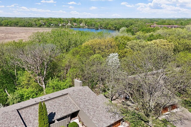 9018 Neill Lake Rd, Eden Prairie, MN 55347 - bird's eye view of a nearby body of water and a forest