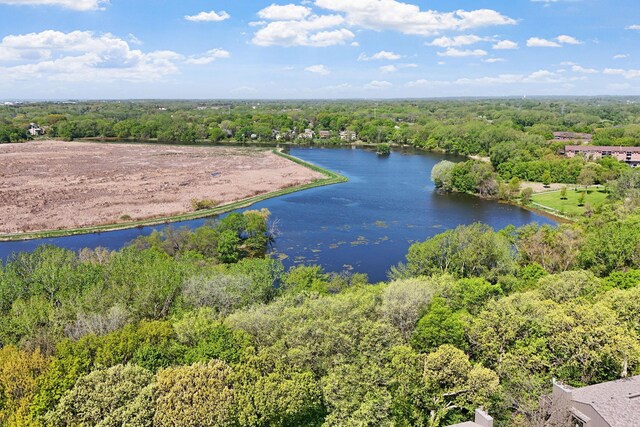 9018 Neill Lake Rd, Eden Prairie, MN 55347 - bird's eye view of a forest and a nearby body of water