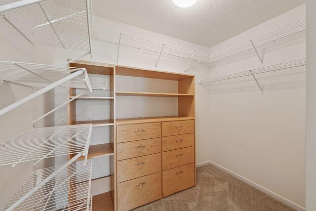 574 Marsh Dr, Delano, MN 55328 - spacious closet featuring carpet flooring