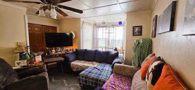 139 2nd St W, Wabasha, MN 55981 - carpeted living area featuring ceiling fan, ornamental molding, and a textured wall