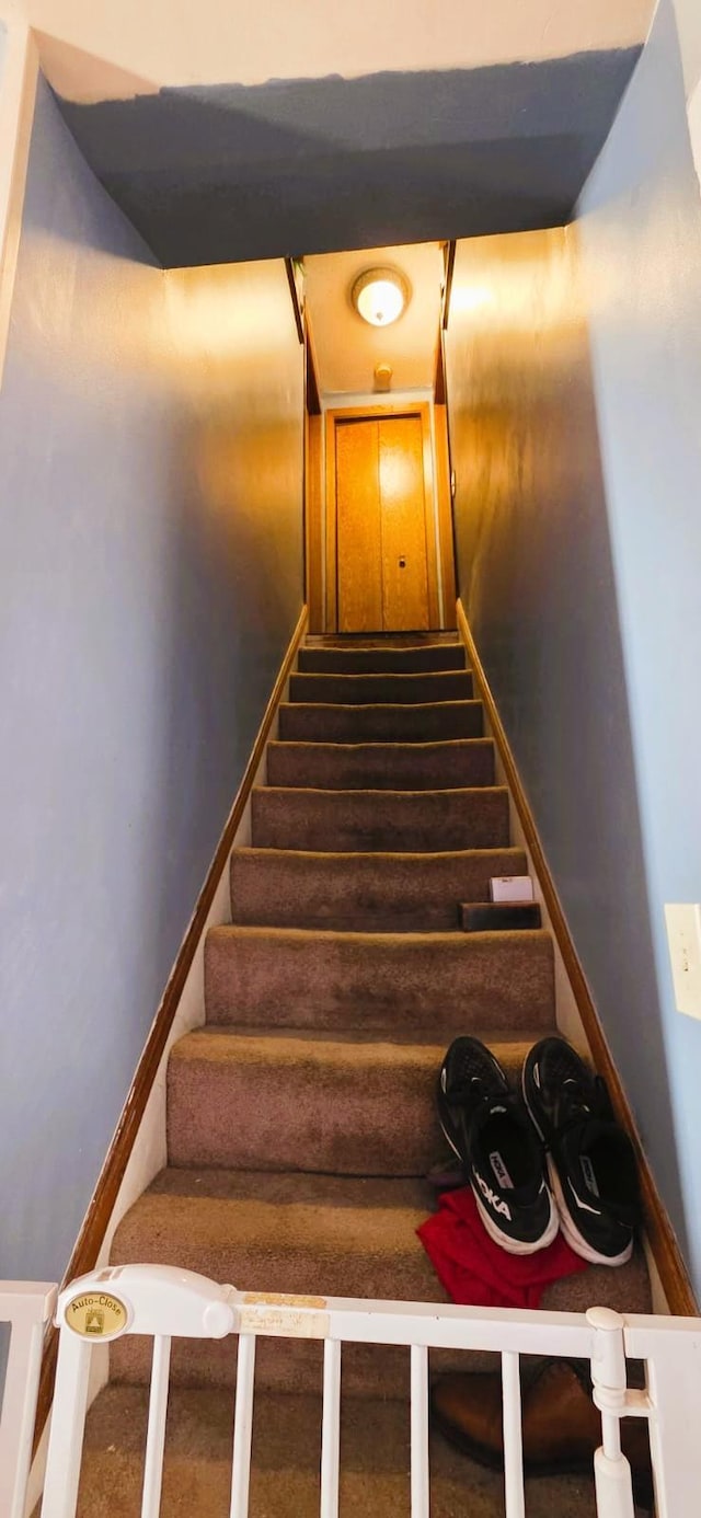139 2nd St W, Wabasha, MN 55981 - view of stairs