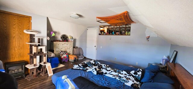 139 2nd St W, Wabasha, MN 55981 - bedroom featuring wood finished floors, vaulted ceiling, a wood stove, and a textured ceiling