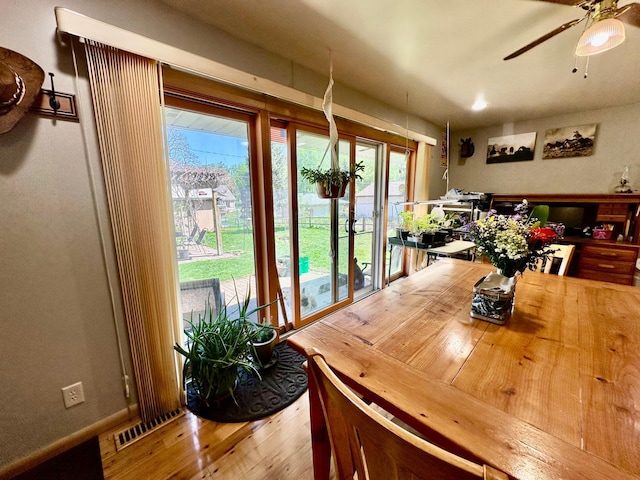 dining area featuring healthy amount of natural light, ceiling fan, and wood finished floors