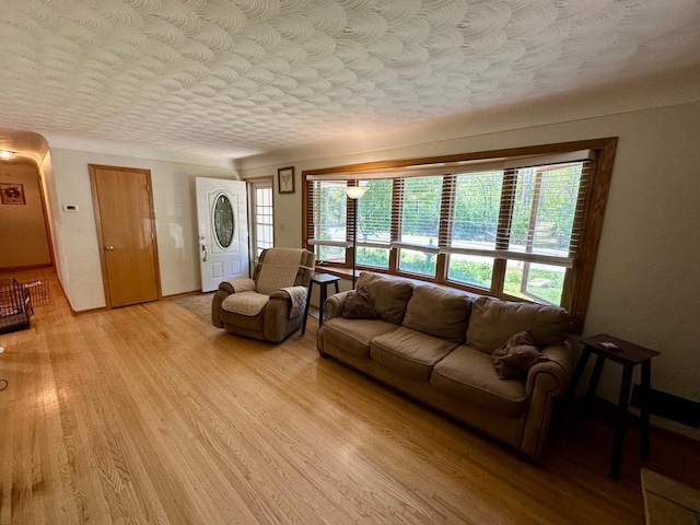 2127 S Ave E, North Saint Paul, MN 55109 - living room with light wood-style floors