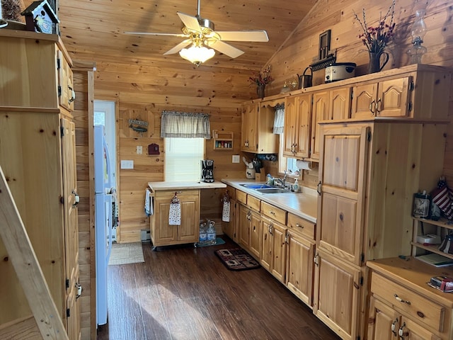 11749 Side Dr, Fine Lakes Twp, MN 55798 - kitchen featuring a sink, dark wood-style flooring, light countertops, ceiling fan, and wooden ceiling