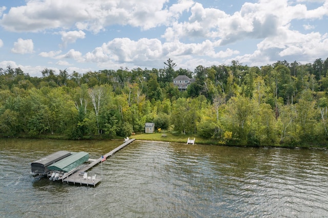 dock with a water view and a forest view