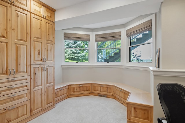 1924 Norway Pine Rd, East Gull Lake, MN 56401 - unfurnished office featuring light colored carpet