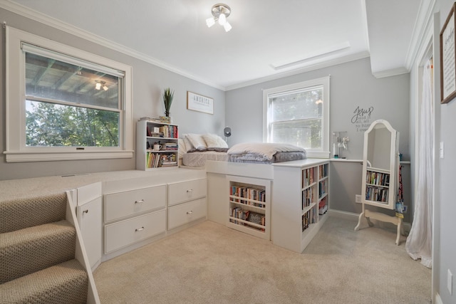 1924 Norway Pine Rd, East Gull Lake, MN 56401 - bedroom featuring light carpet and crown molding