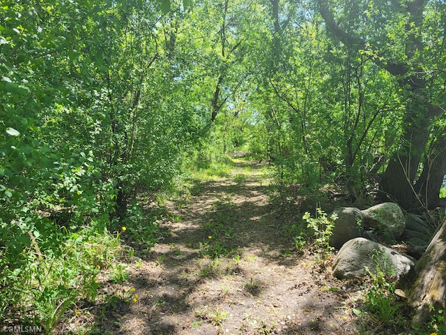 8743 Unit Ave, Stewart, MN 55385 - view of nature