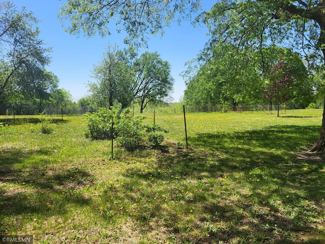8743 Unit Ave, Stewart, MN 55385 - view of grassy yard