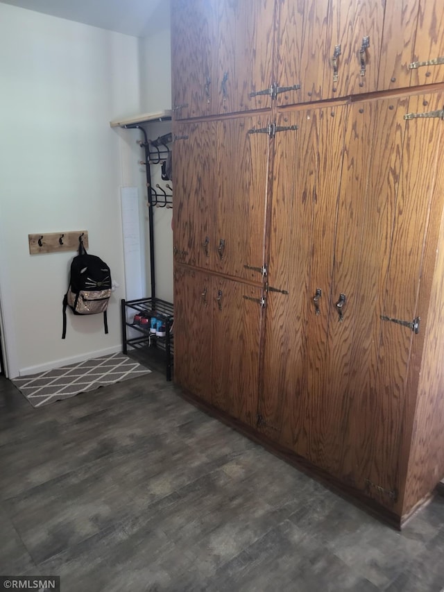 8743 Unit Ave, Stewart, MN 55385 - walk in closet featuring dark wood finished floors
