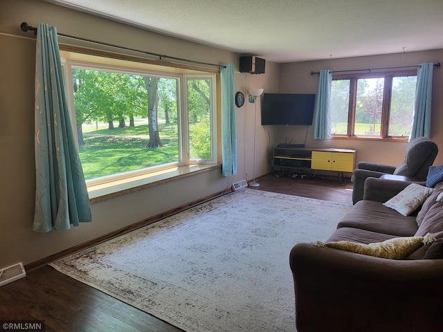 8743 Unit Ave, Stewart, MN 55385 - living area featuring wood finished floors and baseboards