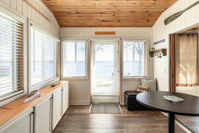doorway with lofted ceiling, dark wood-style floors, healthy amount of natural light, wooden ceiling, and wood walls