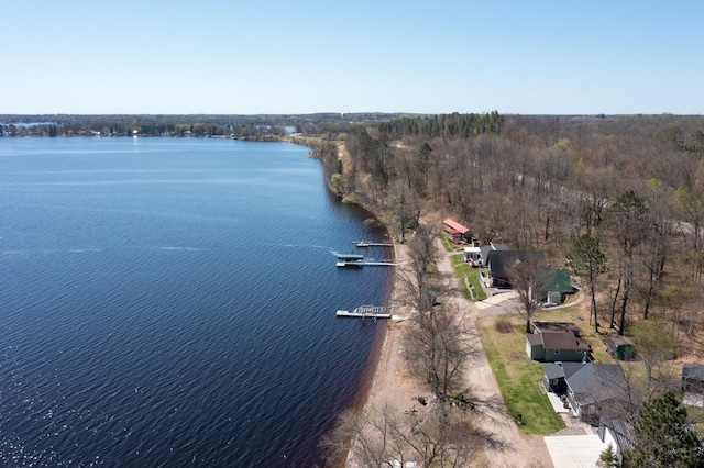 aerial view of property's location featuring a large body of water and a forest