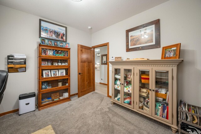 513 Harrison St, Welcome, MN 56181 - photo 37