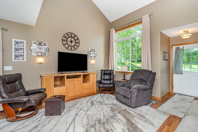 10916 181st Ln NW, Elk River, MN 55330 - living area with vaulted ceiling, light wood finished floors, and baseboards