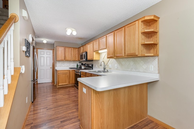 10916 181st Ln NW, Elk River, MN 55330 - kitchen featuring stainless steel appliances, a sink, a peninsula, dark wood finished floors, and tasteful backsplash
