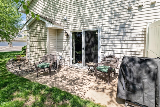 10916 181st Ln NW, Elk River, MN 55330 - view of patio