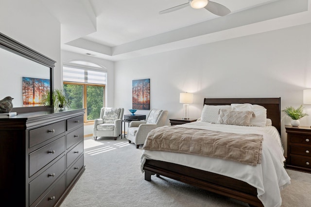 501 Main St N Unit 409, Stillwater, MN 55082 - bedroom with light carpet, a raised ceiling, and a ceiling fan