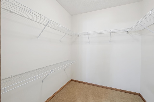 24107 Rivers Edge Rd, Rogers, MN 55374 - spacious closet with light colored carpet