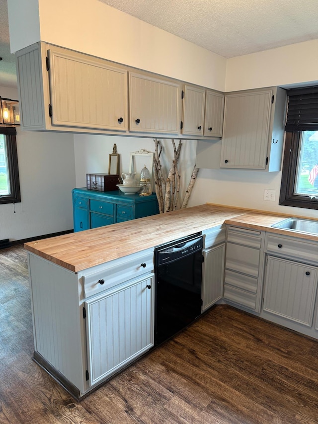 504 Fallwood Rd, Redwood Falls, MN 56283 - kitchen featuring dishwasher, dark wood finished floors, wood counters, gray cabinetry, and a textured ceiling