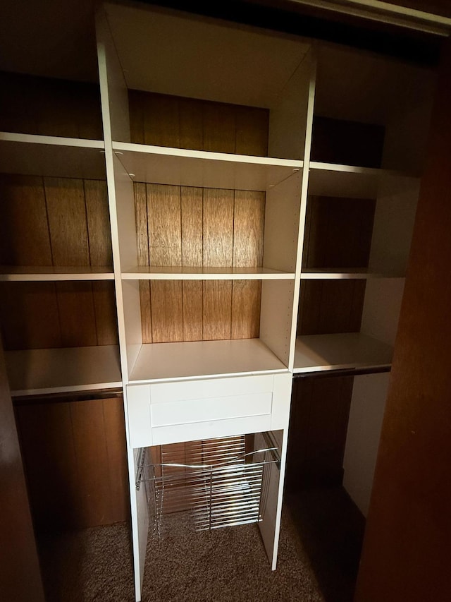 504 Fallwood Rd, Redwood Falls, MN 56283 - view of closet