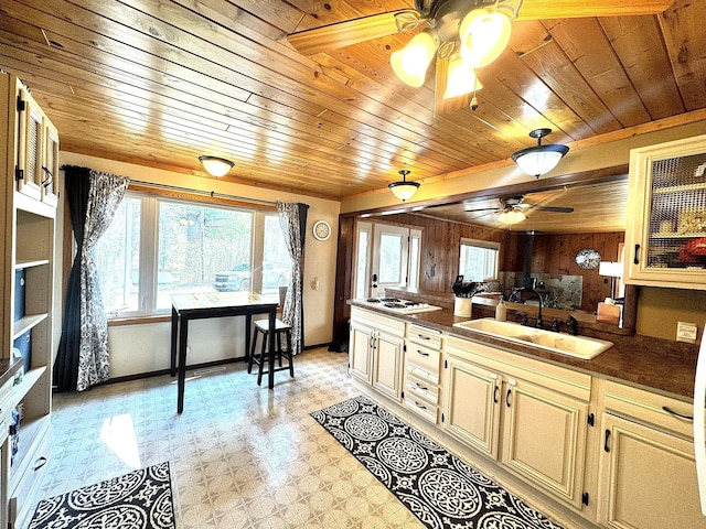 25433 County 86, Nevis, MN 56467 - photo 13