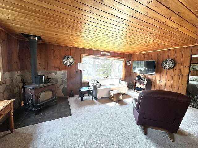 25433 County 86, Nevis, MN 56467 - photo 15