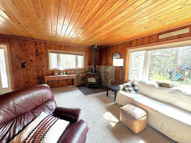 25433 County 86, Nevis, MN 56467 - photo 17