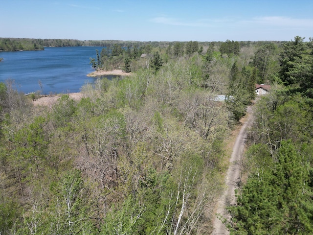 25433 County 86, Nevis, MN 56467 - photo 32