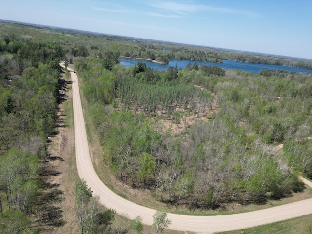 25433 County 86, Nevis, MN 56467 - photo 37
