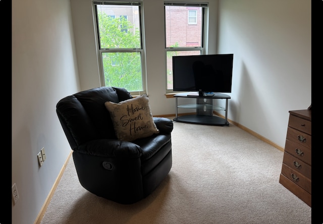 living area with carpet and baseboards