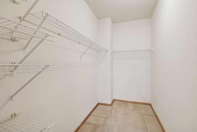 spacious closet featuring light colored carpet